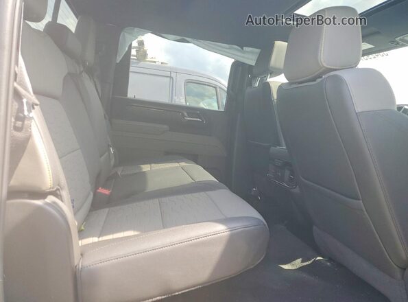1GC4KYEYXSF248670 2025 CHEVROLET SILVERADO Серый Вид задней части салона