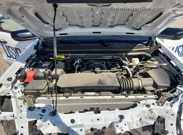 1GCGSBEC0R1286821 2024 CHEVROLET COLORADO White Սալոնի հետևի տեսք