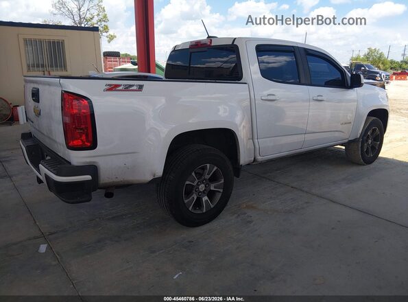 1GCGSDEN2K1309891 2019 CHEVROLET COLORADO White Задня права чверть