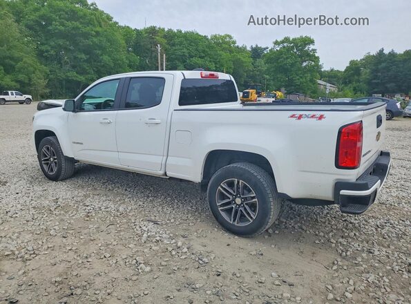 1GCGTBEN5K1171877 2019 CHEVROLET COLORADO Белый Задняя левая четверть