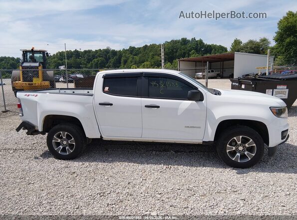 1GCGTBENXJ1170092 2018 CHEVROLET COLORADO White Rear interior view