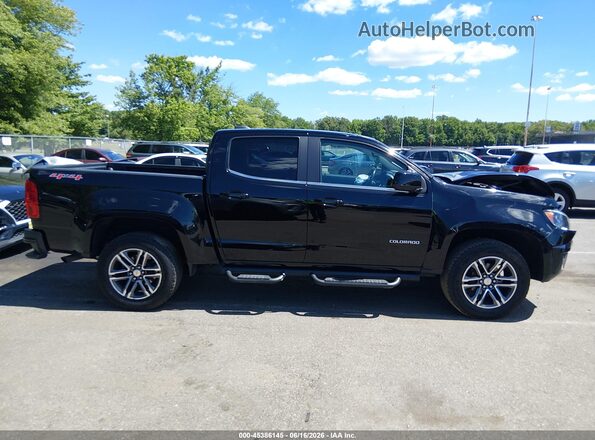 1GCGTCEN4K1356850 2019 CHEVROLET COLORADO Черный Вид задней части салона