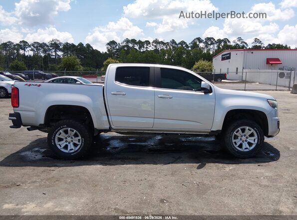 1GCGTCEN5J1317702 2018 CHEVROLET COLORADO Серебряный Вид задней части салона