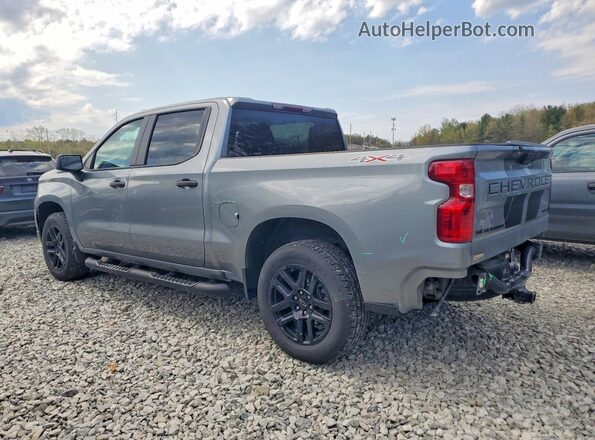 1GCPDBEK3RZ234358 2024 CHEVROLET SILVERADO Gray უკანა მარცხენა