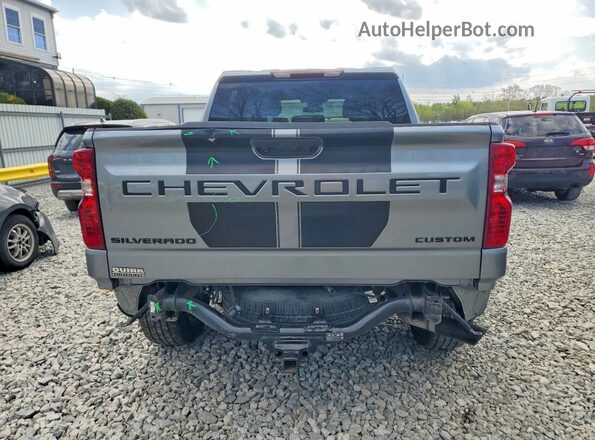 1GCPDBEK3RZ234358 2024 CHEVROLET SILVERADO Gray უკანა ხედი