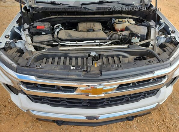 1GCPDDEK0PZ190702 2023 CHEVROLET SILVERADO White Widok wnętrza z tyłu