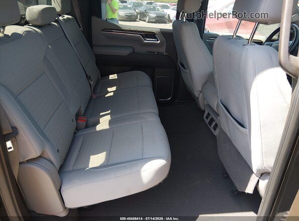 1GCPDDEK1PZ298536 2023 CHEVROLET SILVERADO Black Vista de la etiqueta del VIN