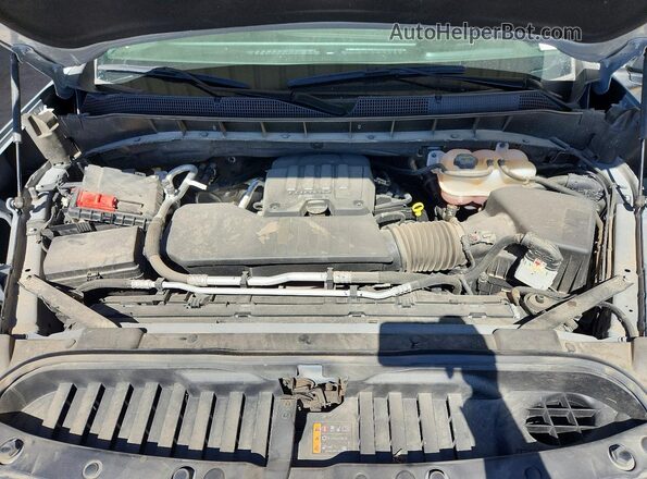 1GCPDEEK4RZ232586 2024 CHEVROLET SILVERADO Gray 