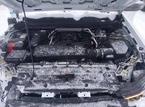 1GCPTBEK2R1111846 2024 CHEVROLET COLORADO White Widok wnętrza z tyłu