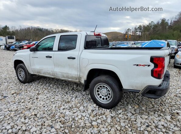 1GCPTBEK7S1147537 2025 CHEVROLET COLORADO White უკანა მარცხენა