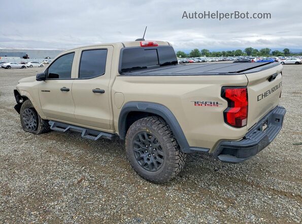 1GCPTEEK1R1195515 2024 CHEVROLET COLORADO Желто-коричневый Задняя левая четверть