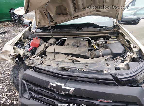 1GCPTEEK5P1172025 2023 CHEVROLET COLORADO Gold Vista trasera