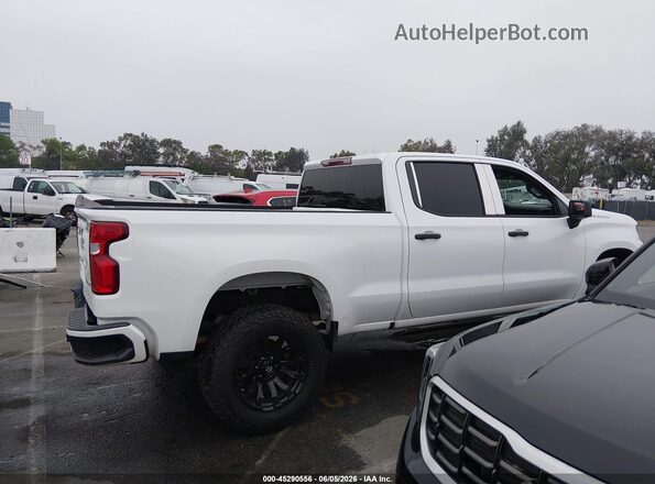1GCPWBEF0LZ143908 2020 CHEVROLET SILVERADO Белый Вид задней части салона