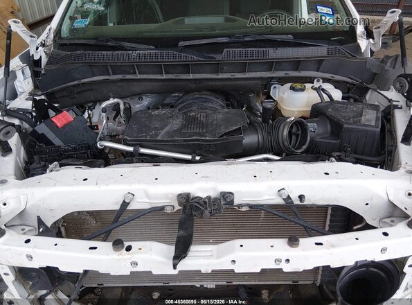 1GCPWCED6MZ163747 2021 CHEVROLET SILVERADO White Вид ззаду