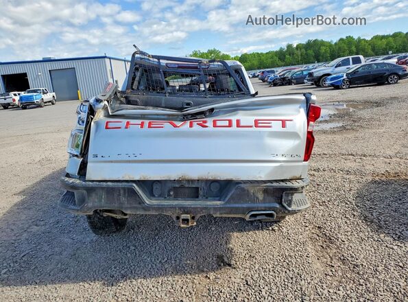 1GCPYCEF9LZ220064 2020 CHEVROLET SILVERADO Silver Widok z tyłu