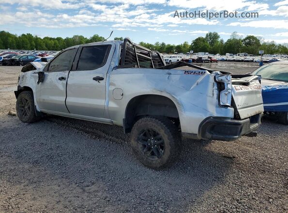 1GCPYCEF9LZ220064 2020 CHEVROLET SILVERADO Silver Tył lewy