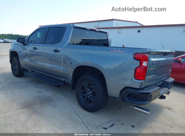 1GCPYCEH5LZ171902 2020 CHEVROLET SILVERADO Gray Rear left