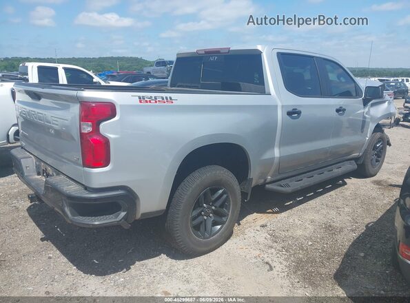 1GCPYFED0LZ320814 2020 CHEVROLET SILVERADO Silver Tył prawy