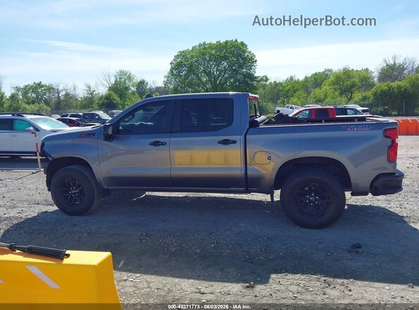 1GCPYFED8KZ354501 2019 CHEVROLET SILVERADO Gray 