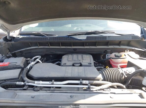 1GCRABEK1RZ152811 2024 CHEVROLET SILVERADO Gray უკანა ხედი
