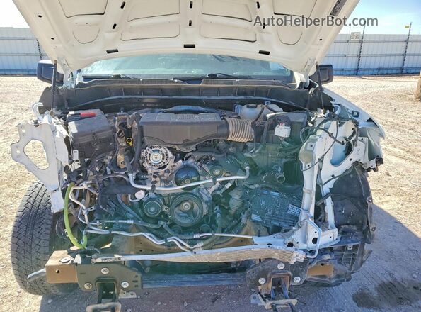 1GCUDAED3RZ352666 2024 CHEVROLET SILVERADO White Вид задньої частини салону