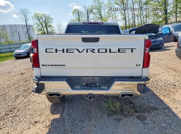 1GCUDDED1RZ147087 2024 CHEVROLET SILVERADO White Widok z tyłu