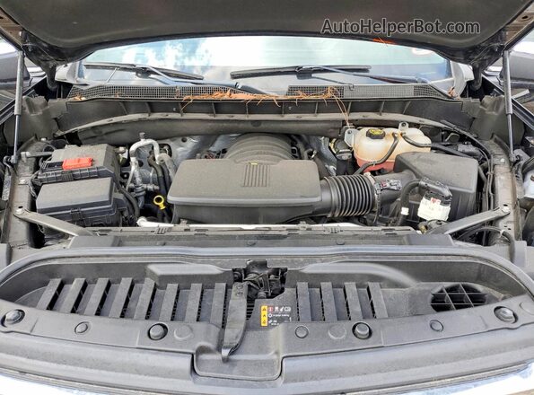 1GCUDGEL6PZ147009 2023 CHEVROLET SILVERADO Black უკანა სალონის ხედი