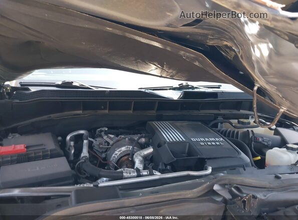 1GCUDJE84RZ119222 2024 CHEVROLET SILVERADO Серебряный Вид сзади