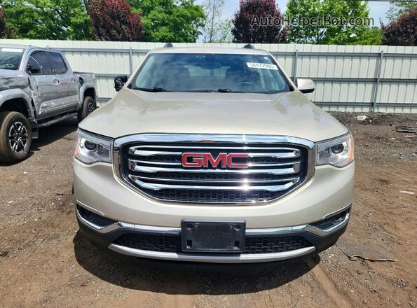1GKKNSLS2HZ159312 2017 GMC ACADIA Gold 