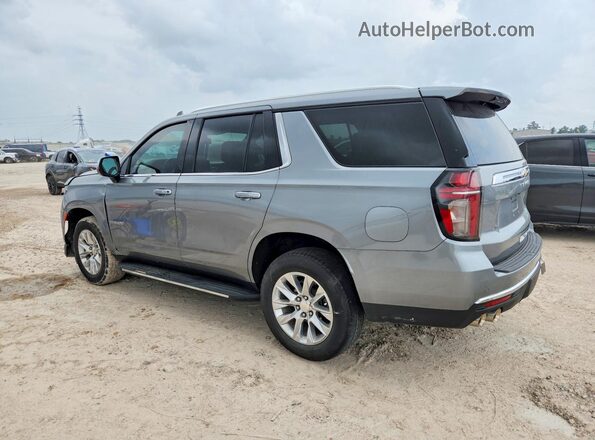 1GNSCSKD8PR391584 2023 CHEVROLET TAHOE Gray Tył lewy