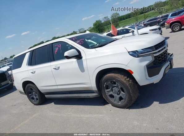 1GNSKLED5MR410737 2021 CHEVROLET TAHOE Белый Вид задней части салона