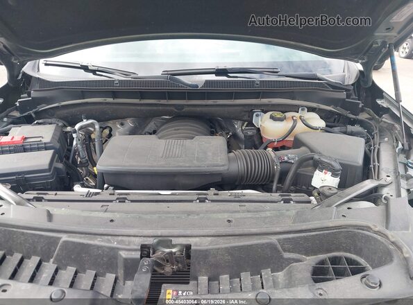 1GNSKPKD3PR149902 2023 CHEVROLET TAHOE Green Вид ззаду