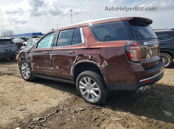 1GNSKTKL7PR226237 2023 CHEVROLET TAHOE Brown Задня ліва чверть