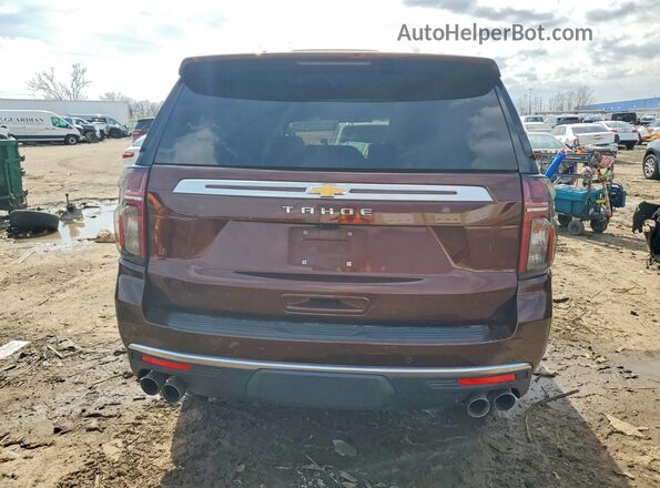 1GNSKTKL7PR226237 2023 CHEVROLET TAHOE Brown Вид ззаду