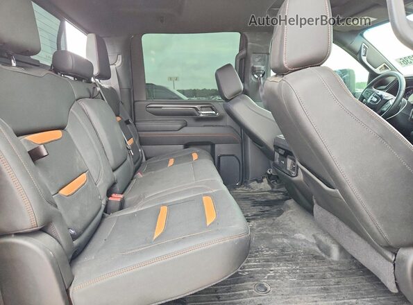 1GT49VEYXRF123804 2024 GMC SIERRA Black Widok tylnych siedzeń