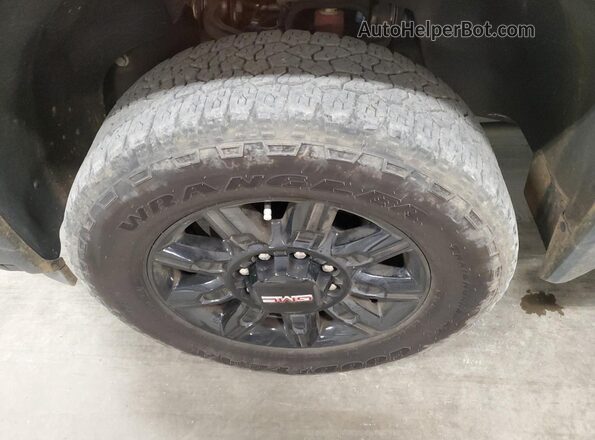 1GT4UPEY3SF203638 2025 GMC SIERRA Белый 