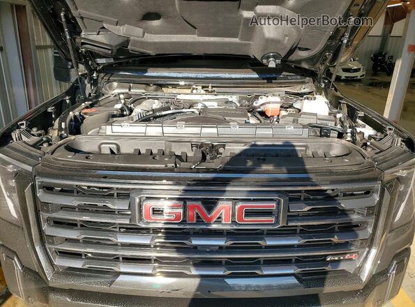 1GT4UPEYXSF314137 2025 GMC SIERRA Black Սալոնի հետևի տեսք