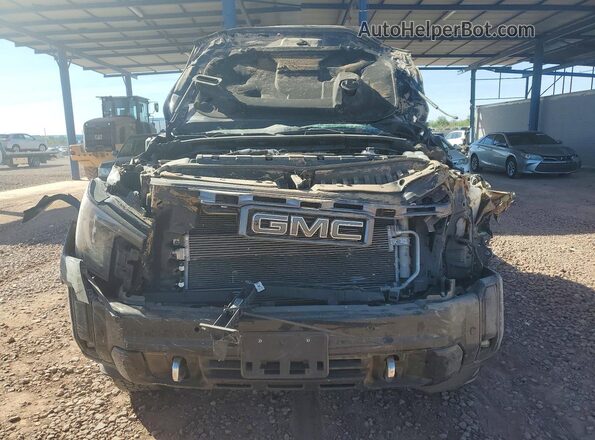 1GT4UXEY1SF267189 2025 GMC SIERRA Black 