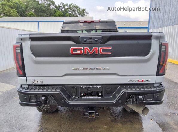 1GT4UZEY0SF295657 2025 GMC SIERRA Серый Вид сзади