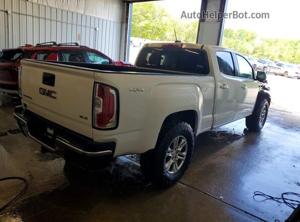 1GTP6CE10K1315023 2019 GMC CANYON White Rear right