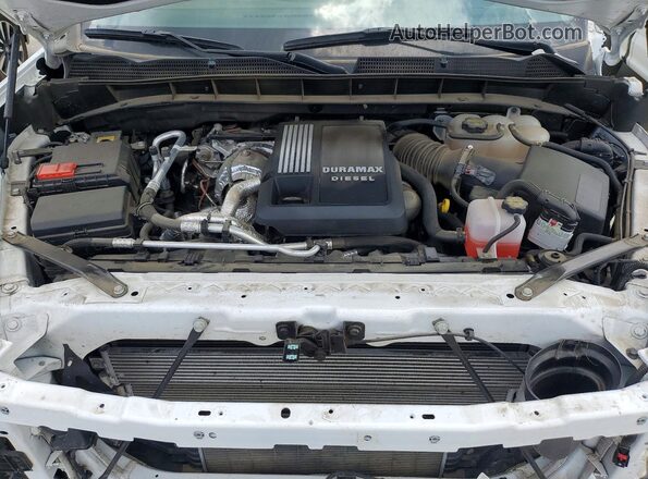 1GTUUCE86SZ183330 2025 GMC SIERRA Белый Вид задней части салона