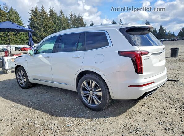 1GYKPCRS6LZ135889 2020 CADILLAC XT6 White Задня ліва чверть