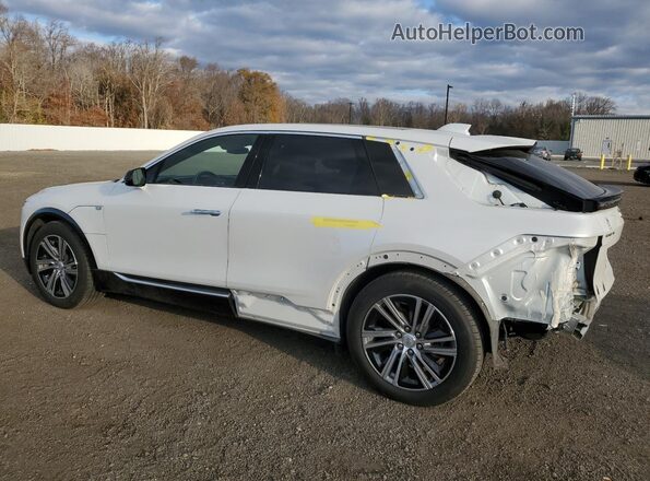 1GYKPRRK2RZ105106 2024 CADILLAC OTHER White Հետևի ձախ