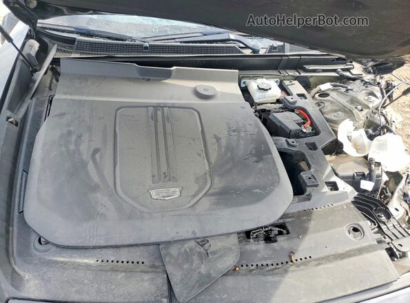 1GYKPWRL5RZ109366 2024 CADILLAC OTHER Black Սալոնի հետևի տեսք