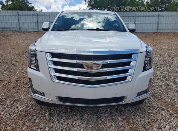 1GYS4BKJ8LR217949 2020 CADILLAC ESCALADE White Widok z przodu
