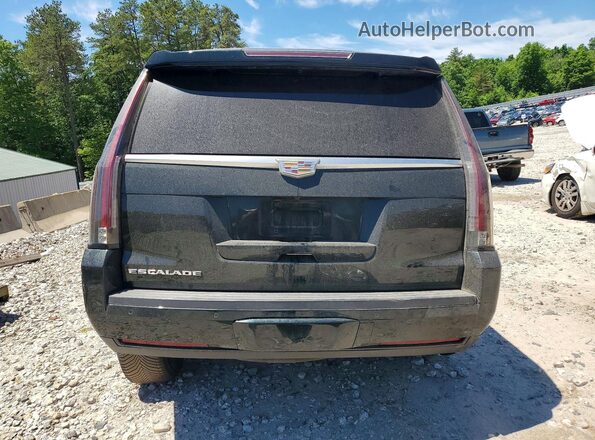 1GYS4BKJ9GR273159 2016 CADILLAC ESCALADE Зеленый Вид сзади