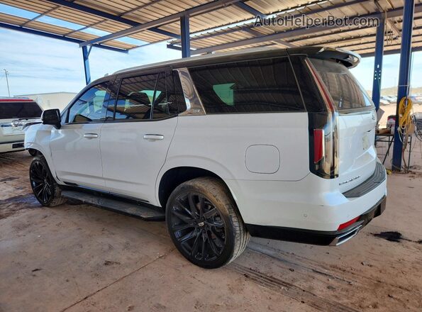 1GYS4BKL9PR392380 2023 CADILLAC ESCALADE White უკანა მარცხენა