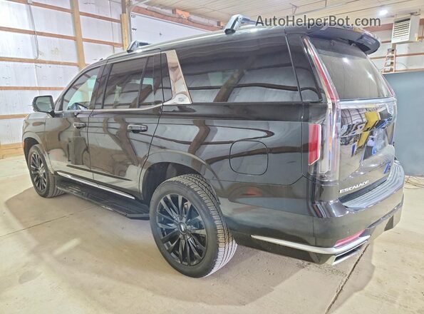 1GYS4BKL9PR564682 2023 CADILLAC ESCALADE Black Trasero izquierdo
