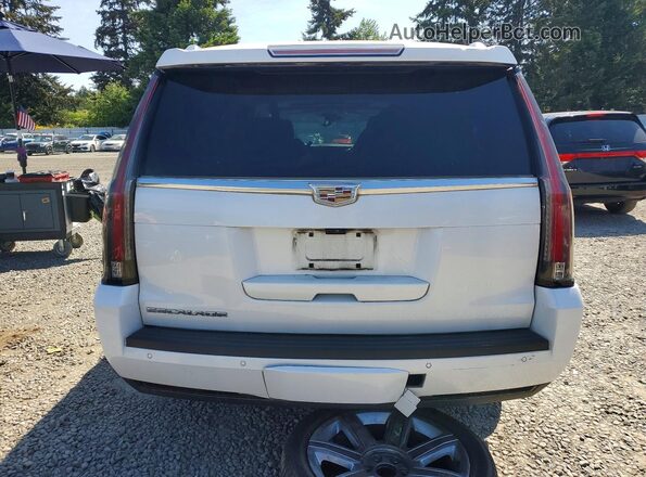 1GYS4JKJ7LR136192 2020 CADILLAC ESCALADE White Вид ззаду
