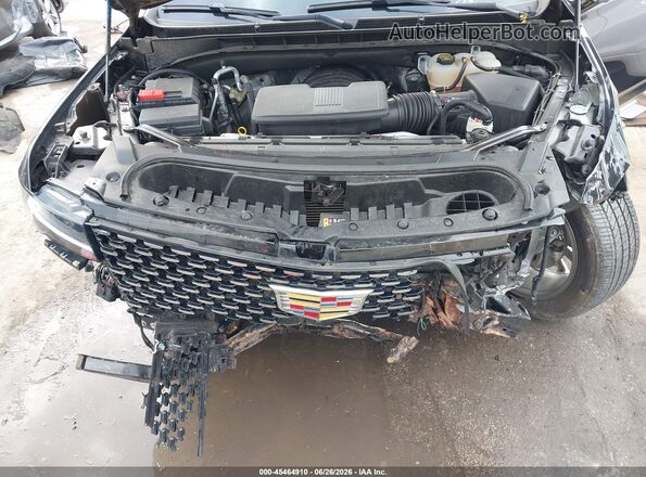 1GYS4KKL2RR148136 2024 CADILLAC ESCALADE Blue Вид ззаду